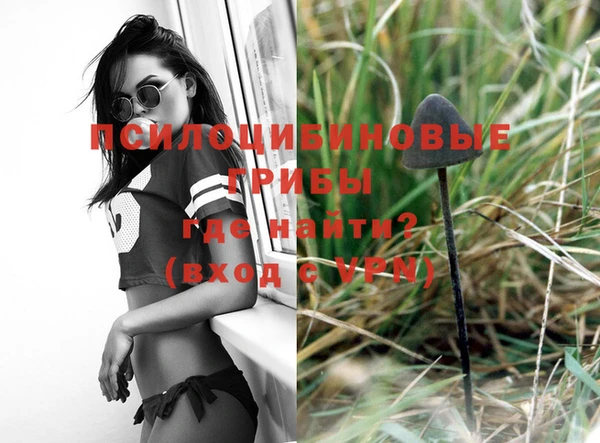 бошки Баксан
