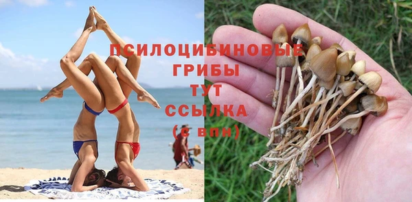 не бодяженный Балахна