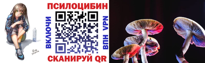 Галлюциногенные грибы Psilocybe  Буинск 
